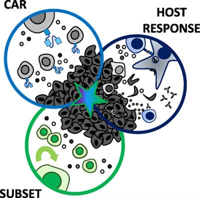 CAR T Cells in Solid Tumors: Blueprints for Building Effective Therapies